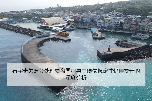 石宇奇关键分处理复盘国羽男单硬仗稳定性仍待提升的深度分析