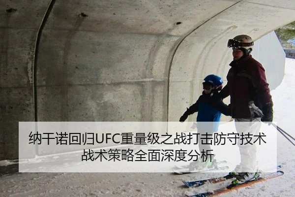 纳干诺回归UFC重量级之战打击防守技术战术策略全面深度分析