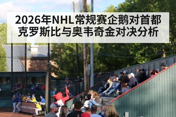 2026年NHL常规赛企鹅对首都克罗斯比与奥韦奇金对决分析
